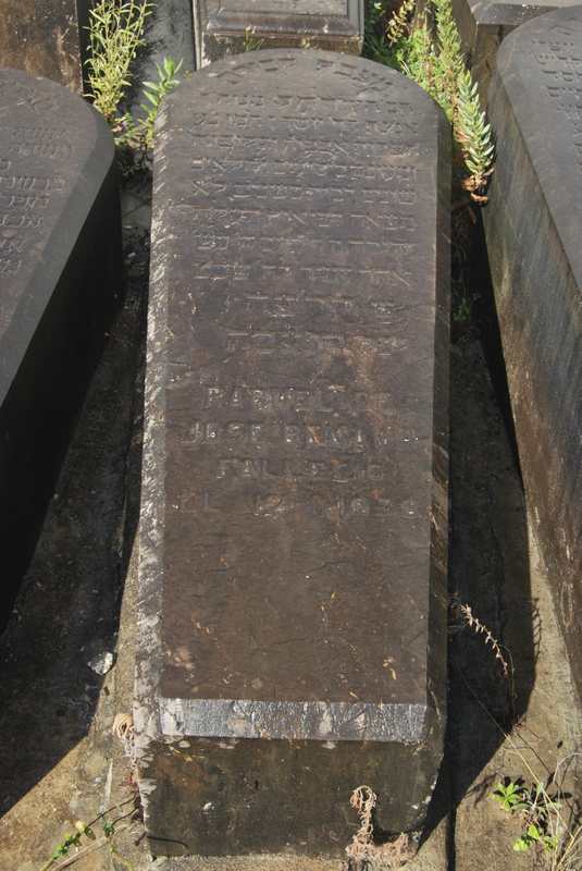 Estela de benamu raquel