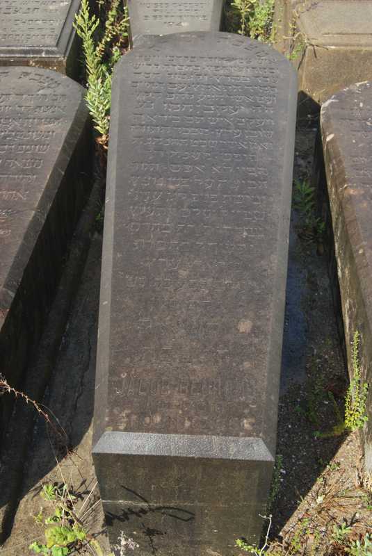 Estela de benamu jacob