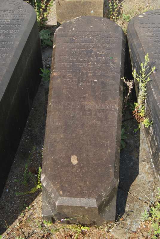 Estela de benamu moises