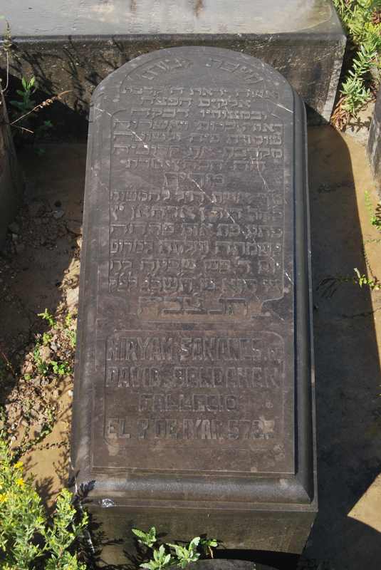 Estela de bendahan myriam