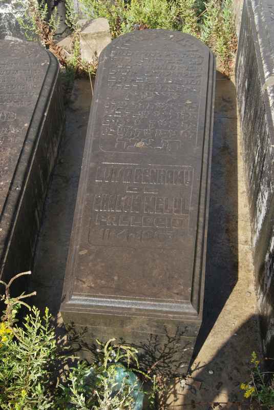 Grafsteen van melul luisa