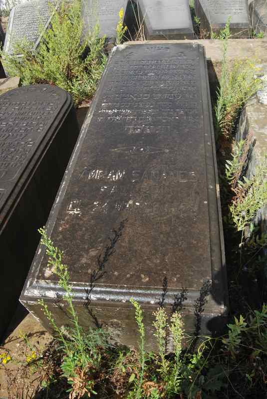Tombstone of sananes amram