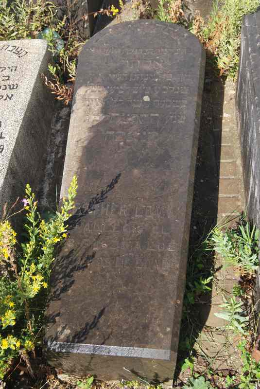 levy esther का स्मारक
