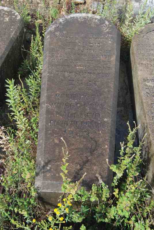 Grabstein von levy mesody