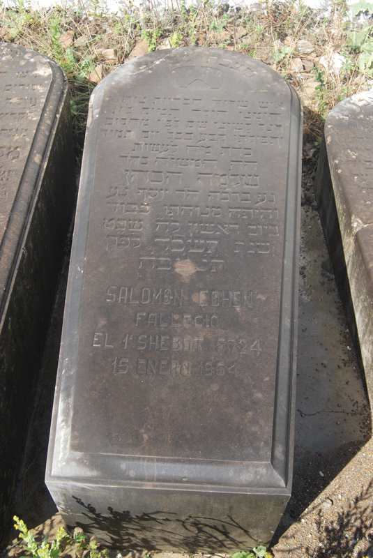 Lápide de cohen salomon