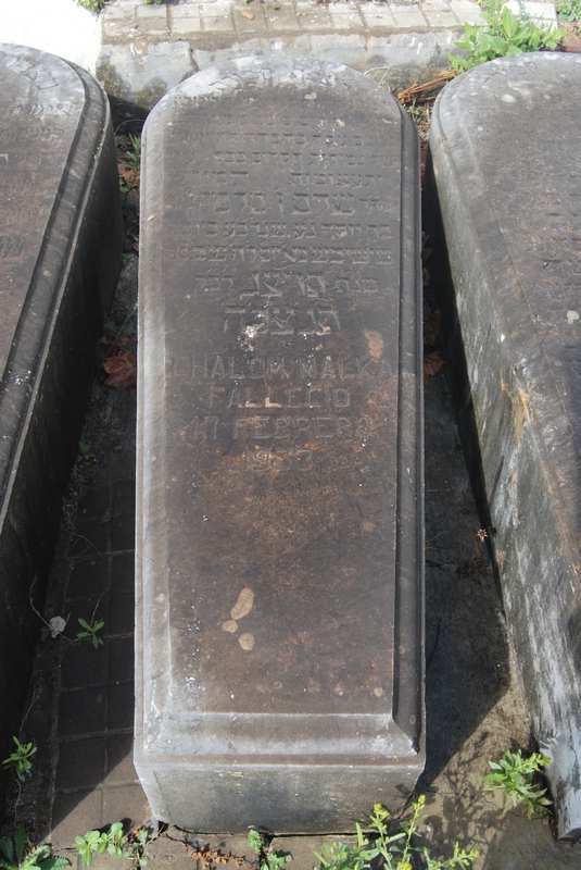 Stèle de malka sultana