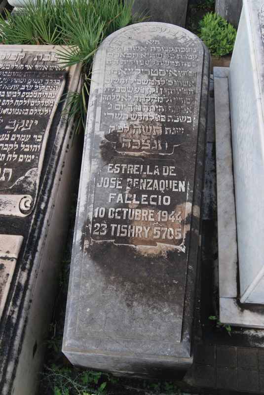 Estela de benzaquen estrella