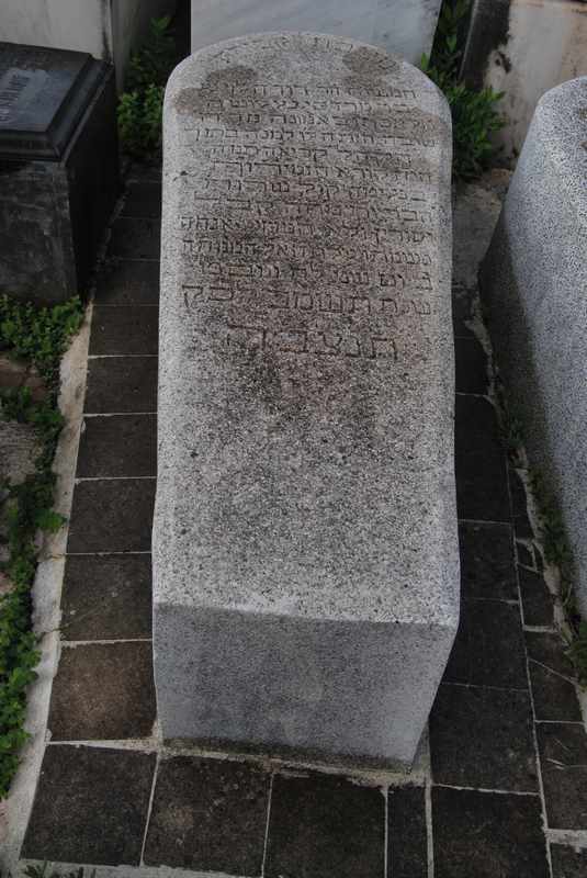 מַצֵּבה פון levy david