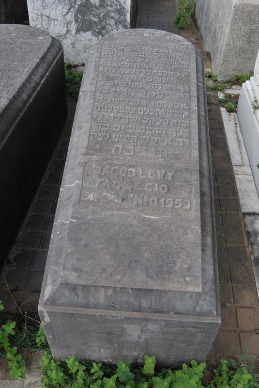 Estela de levy jacob
