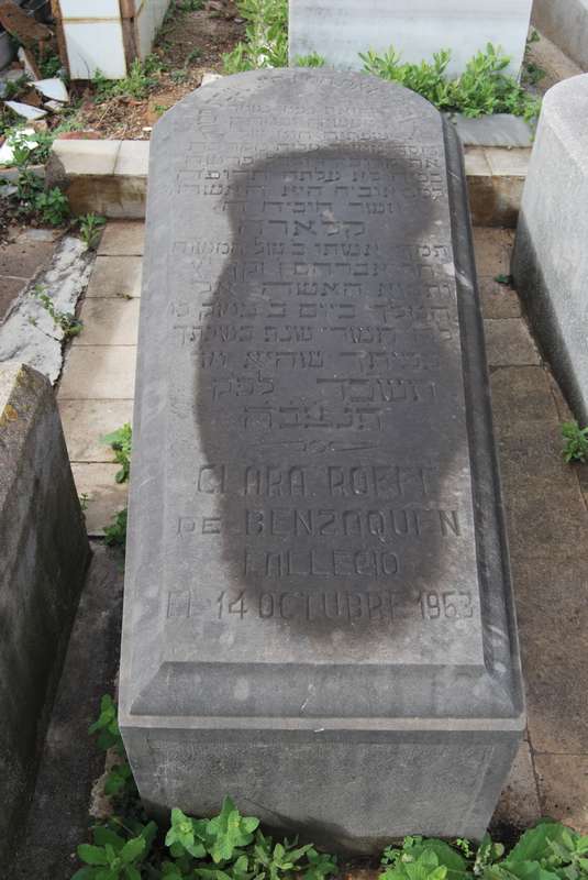 Estela de benzaquen clara