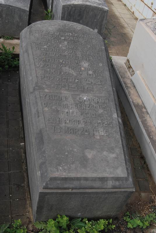 Estela de benzaquen yacot