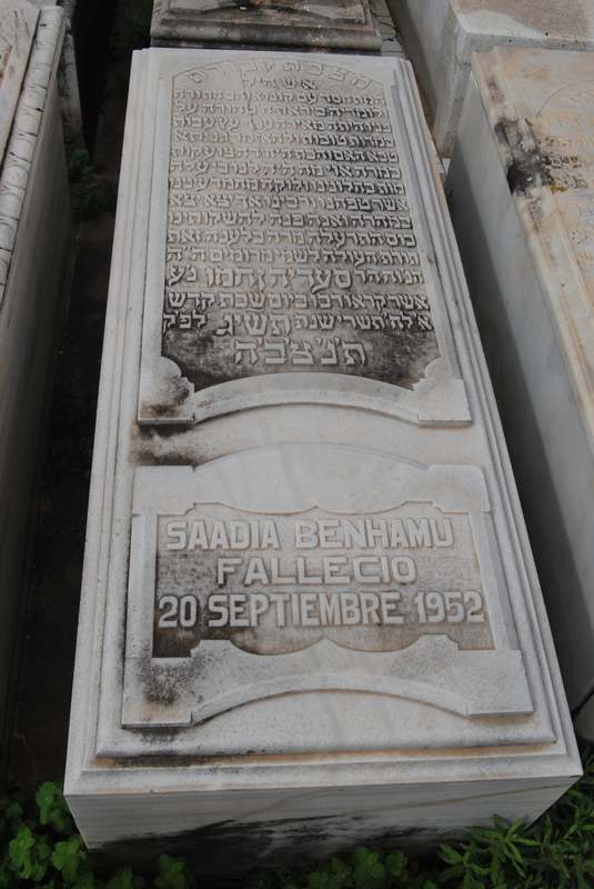 Estela de benhamu saadia