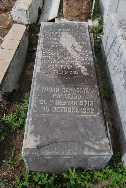 Estela de benasayag yudah