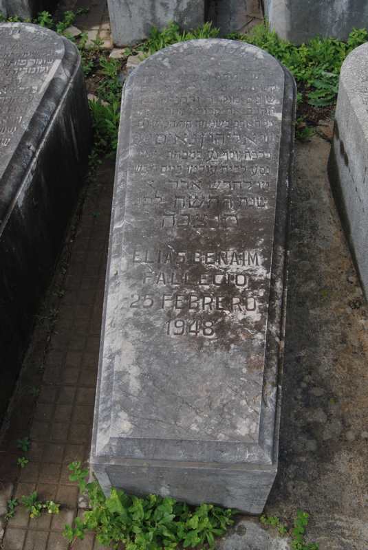 Estela de benaim elias