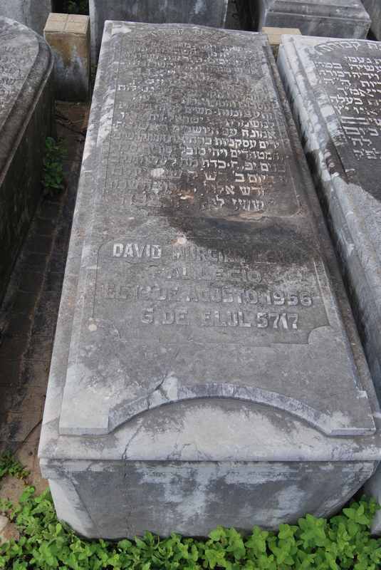 Tombstone of murcian levy david