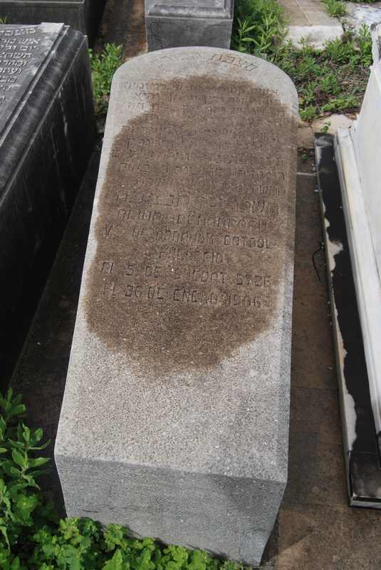 Estela de botbol reina