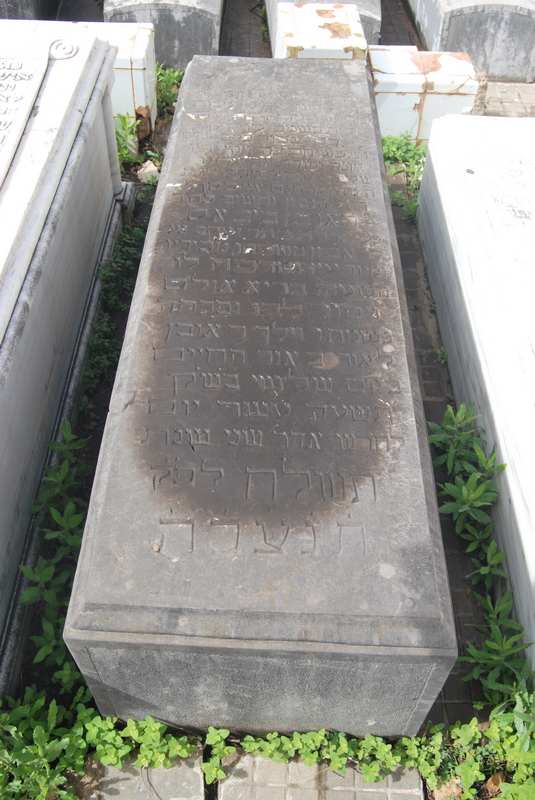 Estela de bibas reuben
