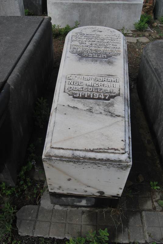 מצבת suhami esther