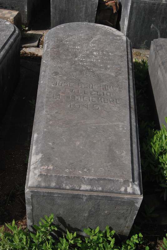 Estela de benchimol jose