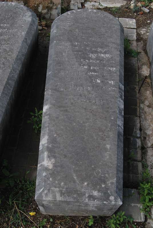 cohen samuel fejfája