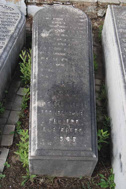 Estela de benchimol yogeba