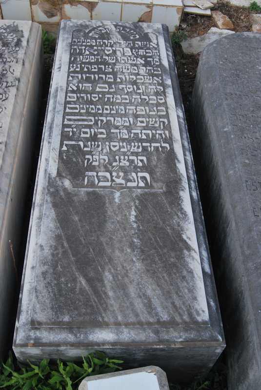 מצבת serfaty precidia