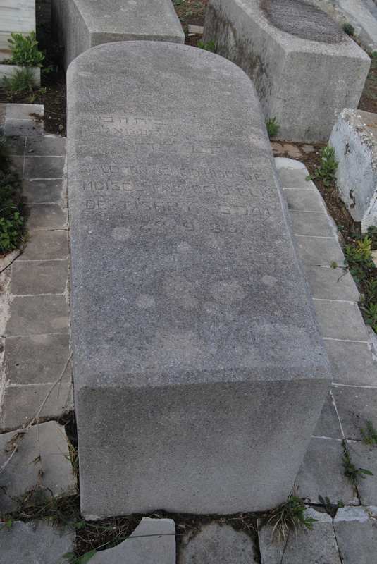 Estela de bengio salomon