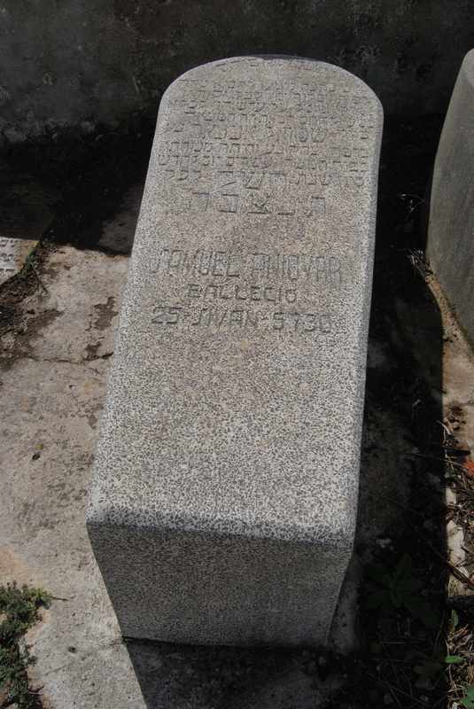 شاهدة قبر anidyar samuel