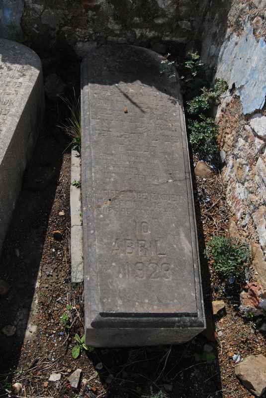 Estela de benzaquen moises
