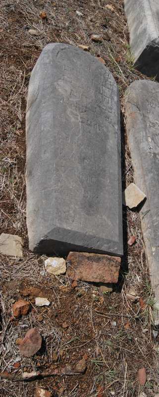 Estela de benarroch jose