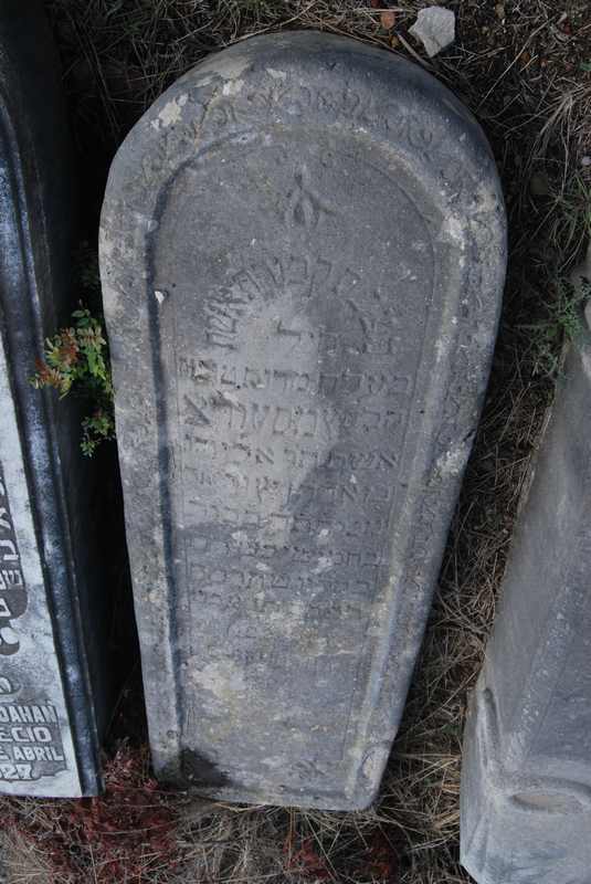 Estela de bendahan mesody