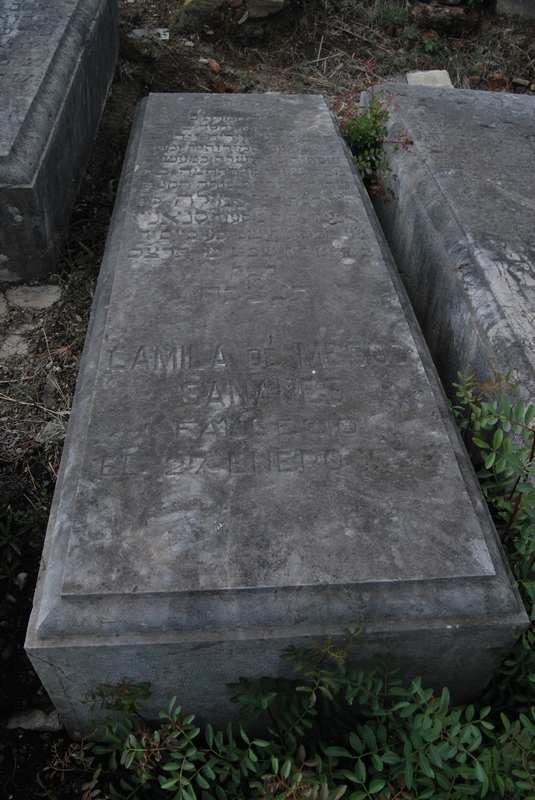 מצבת sananes camilia