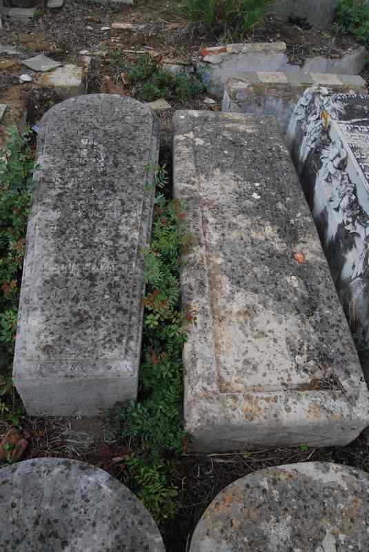 Estela de benzaquen mesod