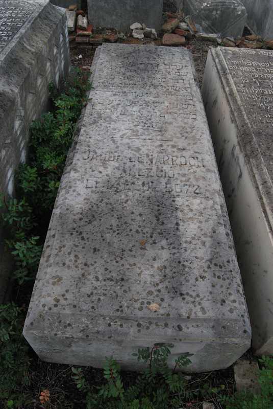 Estela de benarroch jacob