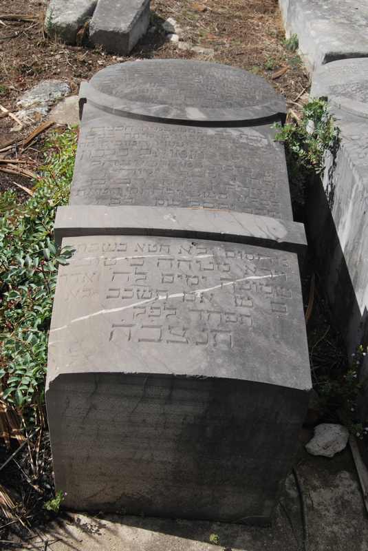 Estela de jalfon shemouel
