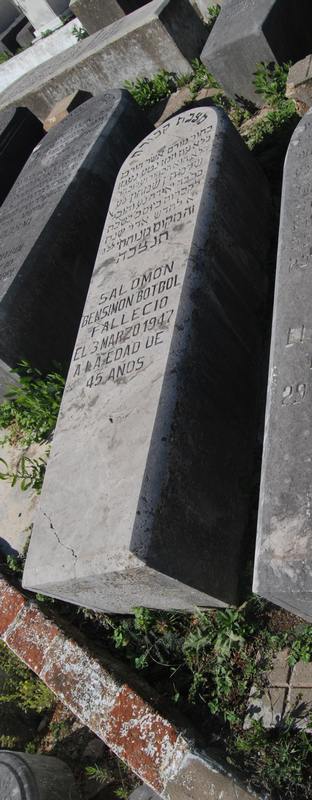 Estela de bensimon botbol salomon