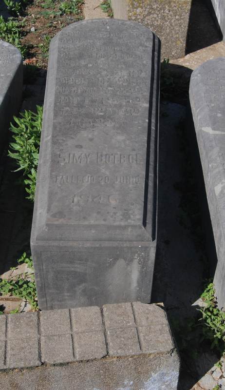 Estela de botbol simy
