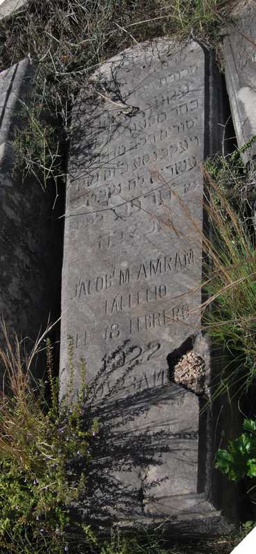 Estela de amram jacob
