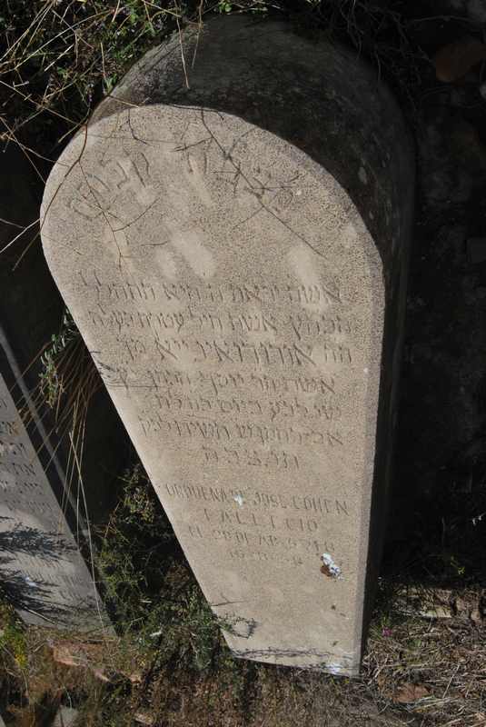 Stèle de cohen orduena