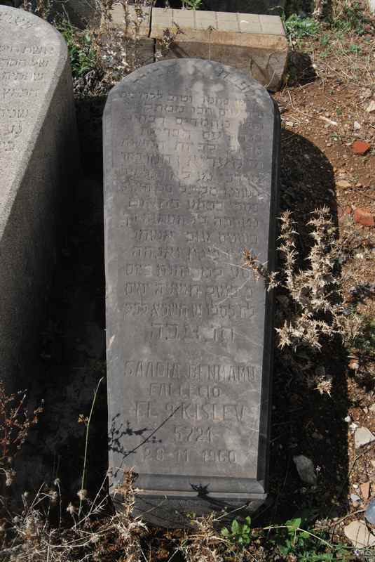 Estela de benhamu saadia