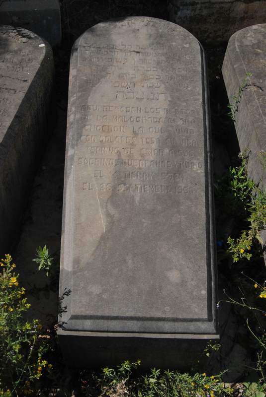 מצבת chocron clara