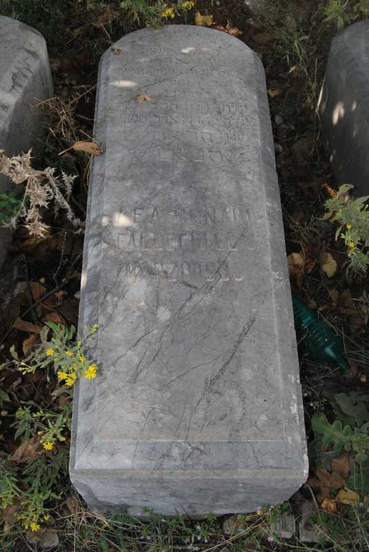 Estela de benaim lea