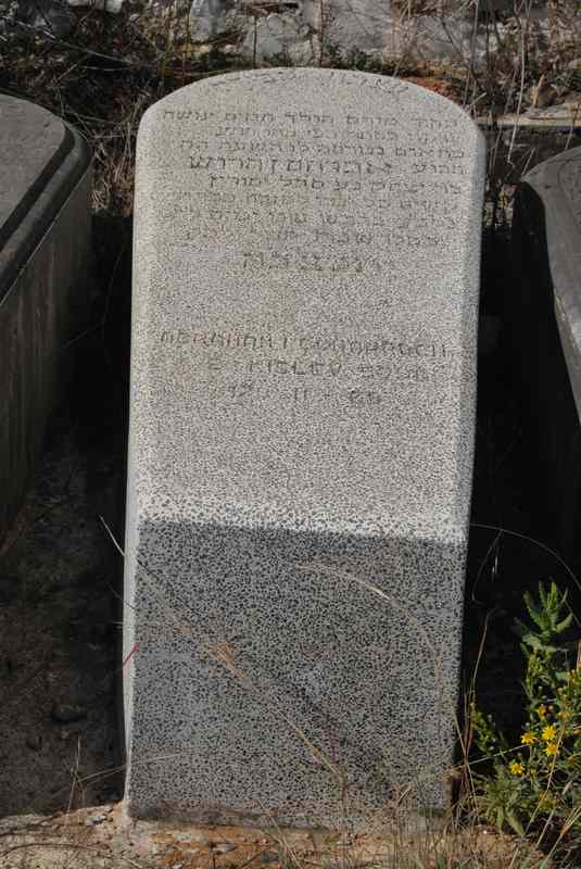 Estela de benarroch abraham