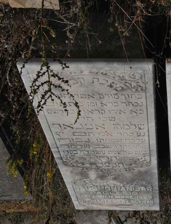מַצֵּבה פון anijar salomon