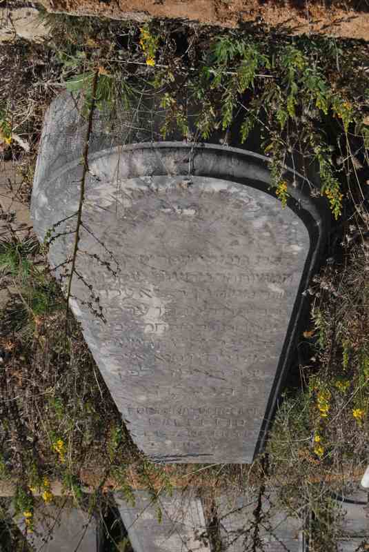 Stèle de chocron fortunato