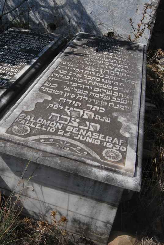 Estela de benaseraf salomon