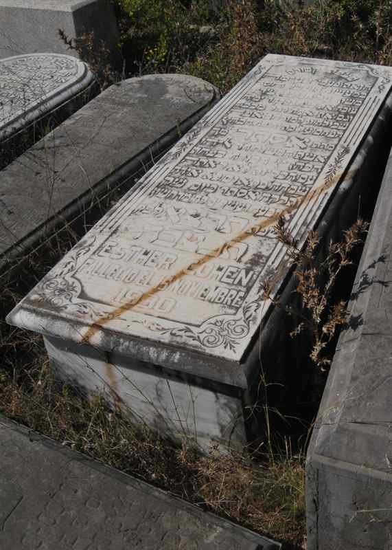 cohen esther fejfája