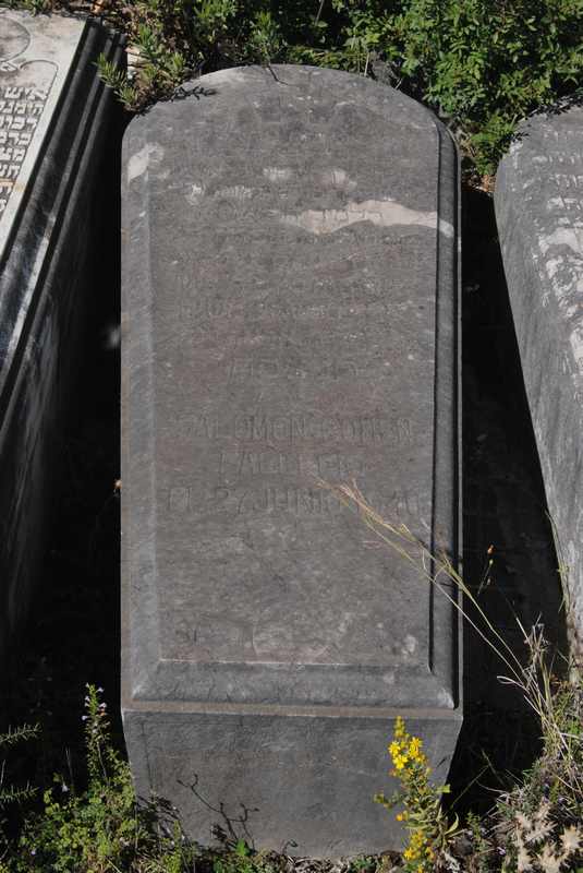 cohen salomon fejfája