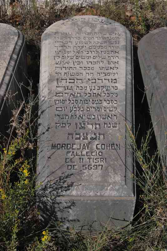 cohen mordejay fejfája