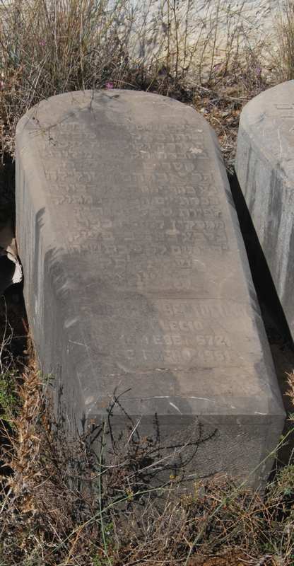 Estela de bentolila abraham